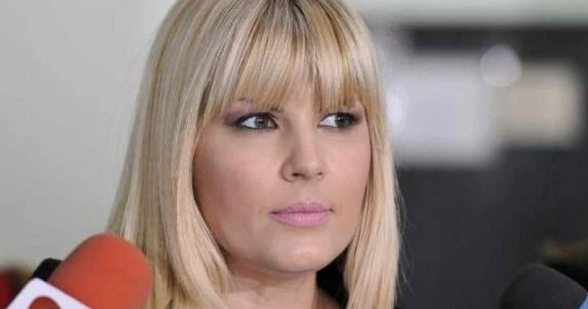 Elena Udrea, fotografie rară cu o zi înainte de naștere: „Așteptând-o pe Eva”