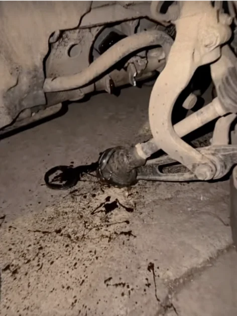 Alina Pușcaș, la un pas de un accident grav: „Groaznic. Îmi tremură mâna efectiv”